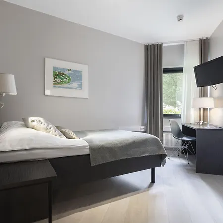 Majvik Congress Киркконумми